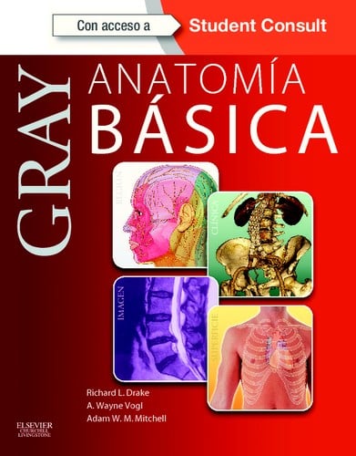 Gray anatomía básica