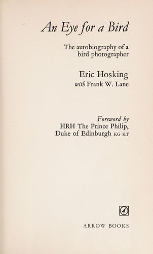 An eye for a bird
