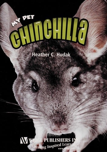 Chinchilla