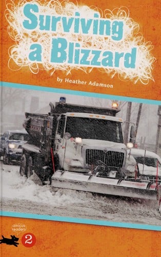 Surviving a blizzard