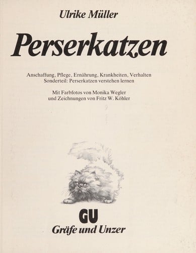 Perserkatzen richtig pflegen und verstehen