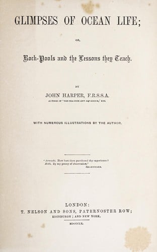 Glimpses of ocean life