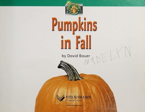 Pumpkins in the fall