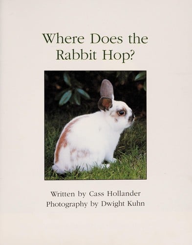 Where does the rabbit hop?