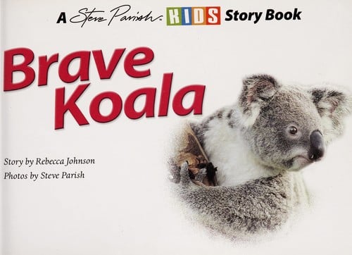 Brave koala