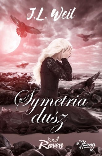 Raven. Tom 3. Symetria dusz