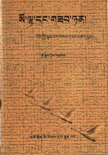 so lta dang gzab nyan