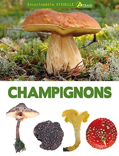 encyclopédie visuelle des champignons