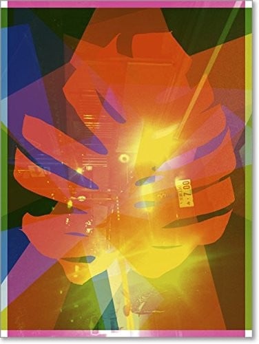 Shirana Shahbazi: Monstera