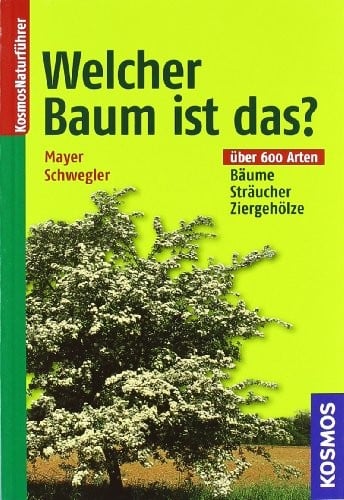 Welcher Baum ist das?