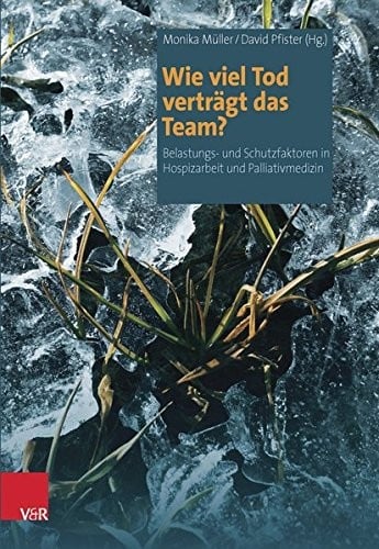 Wie Viel Tod Vertragt Das Team?: Belastungs- Und Schutzfaktoren in Hospizarbeit Und Palliativmedizin (German Edition)