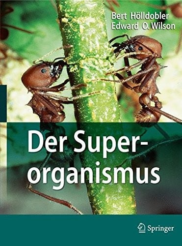 Der Superorganismus: Der Erfolg von Ameisen, Bienen, Wespen und Termiten (German Edition)
