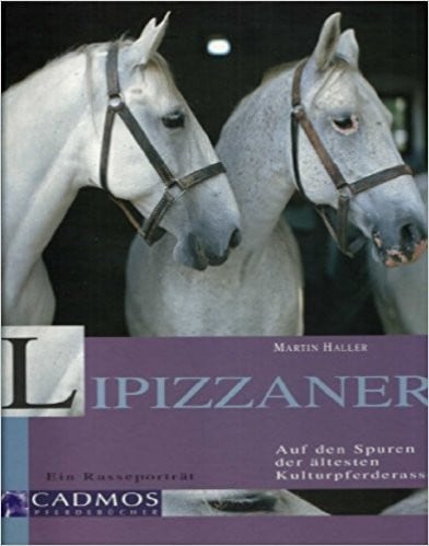 Lipizzaner.
