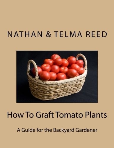 How To Graft Tomato Plants: A Guide for the Backyard Gardener