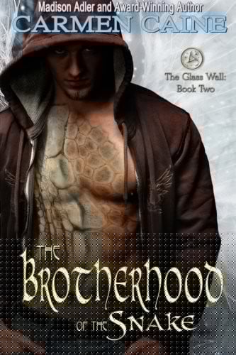 The Brotherhood of the Snake: The Glass Wall (Volume 2)