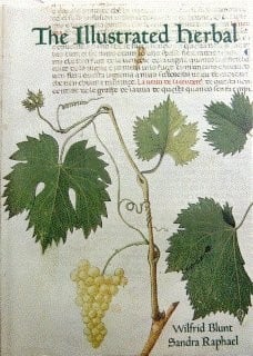 The illustrated herbal