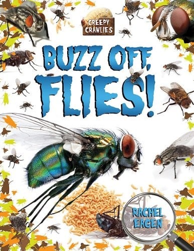Buzz Off, Flies! (Creepy Crawlies)