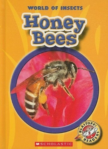 Honey Bees (Blastoff! Readers: World of Insects)