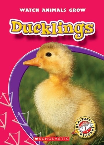 Ducklings (Blastoff! Readers Level 1: Watch Animals Grow)