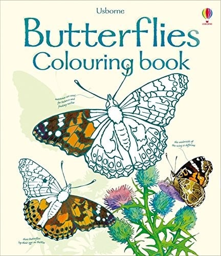 Butterflies Colouring Book