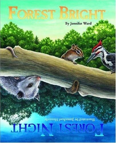 Forest  Bright,  Forest Night