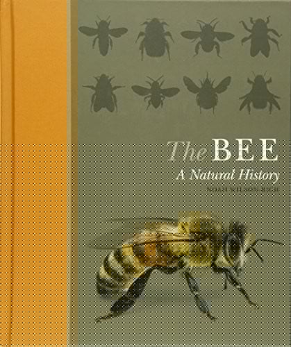 The Bee: A Natural History