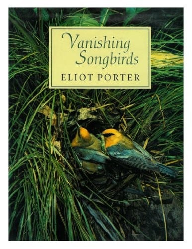 Vanishing songbirds