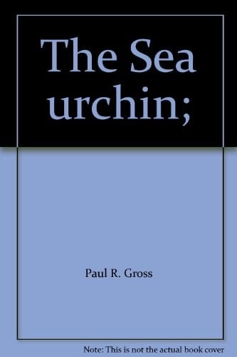 The Sea urchin