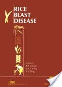 Rice blast disease