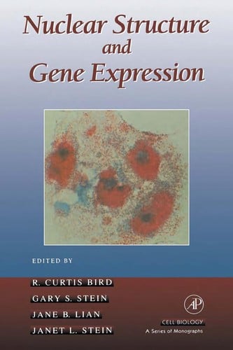 Nuclear structure and gene expression
