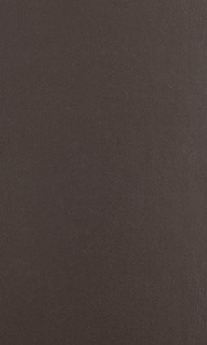 Promised Lands (Brandeis Series in American Jewish History, Culture, and Life & HBI Series on Jewish Women)