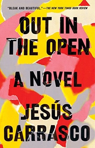 Out in the Open: A Novel