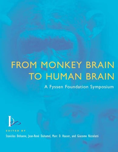 From monkey brain to human brain