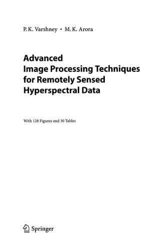 Advanced Image Processing Techniques for Remotely Sensed Hyperspectral Data