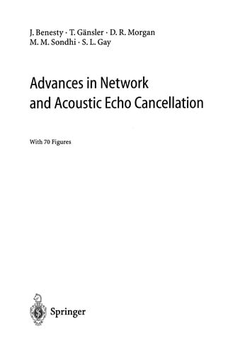 Advances in Network and Acoustic Echo Cancellation