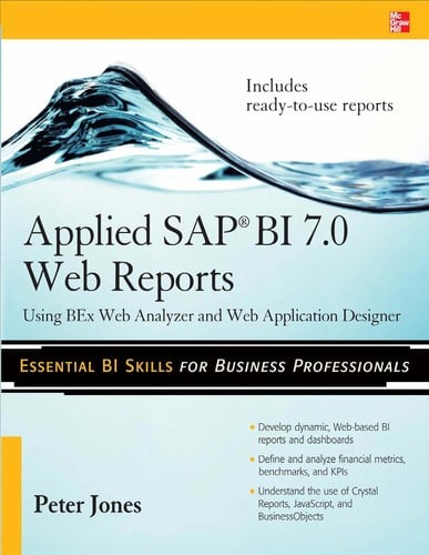 Applied SAP BI 7.0 web reports