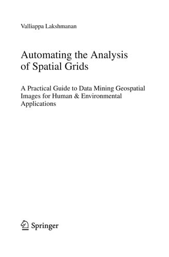 Automating the Analysis of Spatial Grids