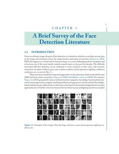 Boosting-based face detection and adaptation