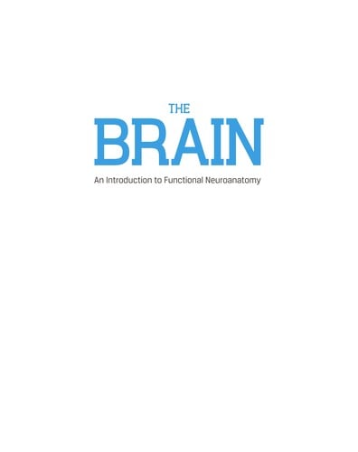 The brain