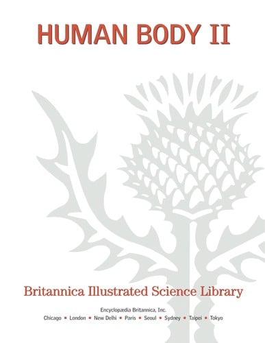 Human body II