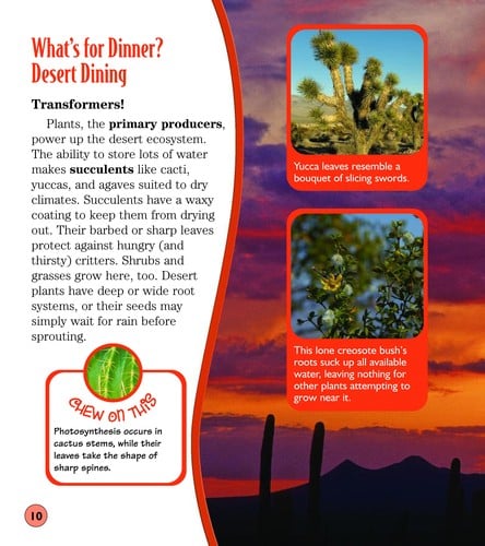 Desert dinners