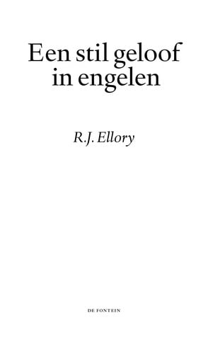 Een stil geloof in engelen