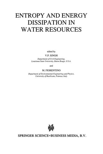 Entropy and Energy Dissipation in Water Resources