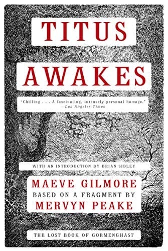 Titus Awakes: The Lost Book of Gormenghast