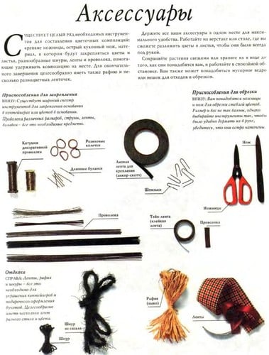 Aranzhirovka t͡svetov