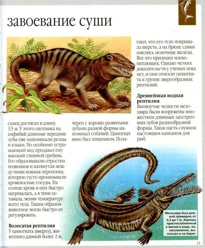 Dinozavry i drugie ischeznuvshie zhivotnye