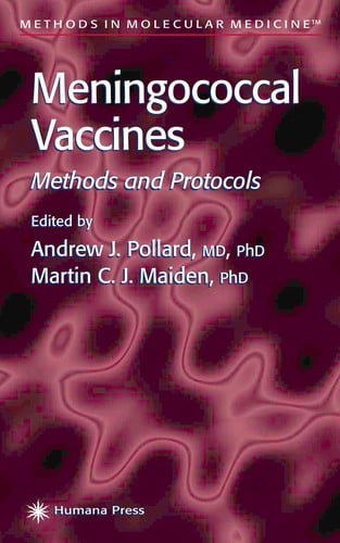 Meningococcal vaccines