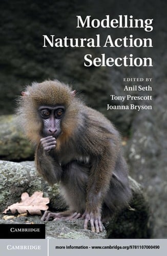 Modelling natural action selection