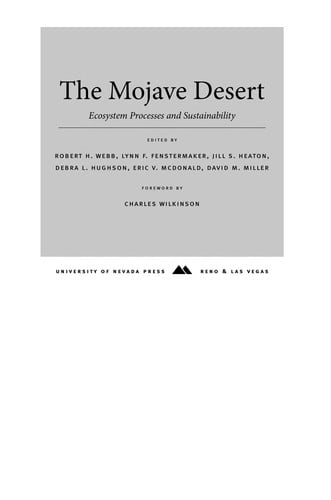 The Mojave Desert