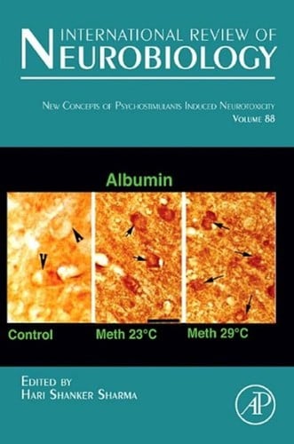 New concepts of psychostimulant induced neurotoxicity